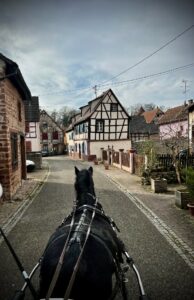 les-attelages-des-cuirassiers-balade1h-image1